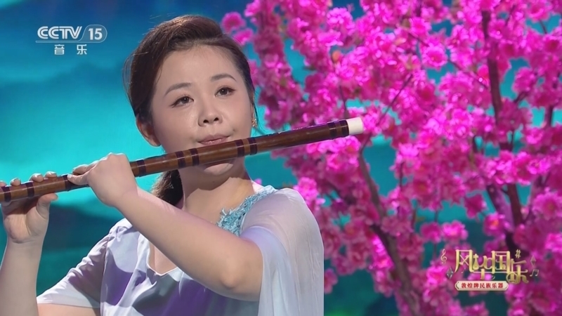 风华国乐 《风华国乐》 20240725