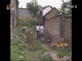 山东新闻联播 《山东新闻联播》 20141009