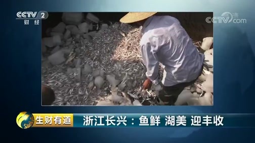 生财有道 《生财有道》 20190923 咱们家乡有特产 浙江长兴：鱼鲜 湖美 迎丰收