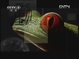 动物世界 《动物世界》 20120714