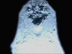 经典传奇 神洞迷踪
