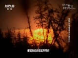 探索发现 《探索发现》 20180209 张献忠宝藏考古发掘记（下）