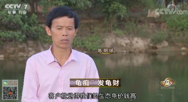 致富经 [致富经]“龟痴”发龟财 20180309