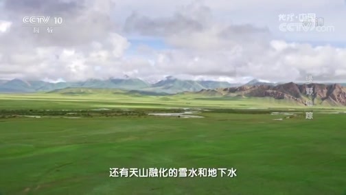 地理中国 《地理中国》 20190608 文化和自然遗产日·绿野仙踪