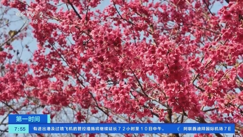 《第一时间》 20260308 1/2