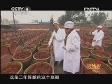 远方的家 北纬30°·中国行 第一百三十三集 蜀风古韵话郫县《远方的家》 20121228