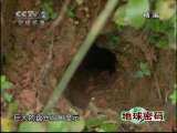 地球密码（周末精编节目） 周末精编节目 2010年 第159期 1-2