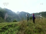 地理中国 《地理中国》 20180826 寻奇天下·水城奇观