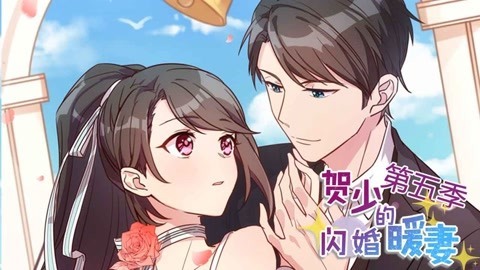 贺少的闪婚暖妻第五季