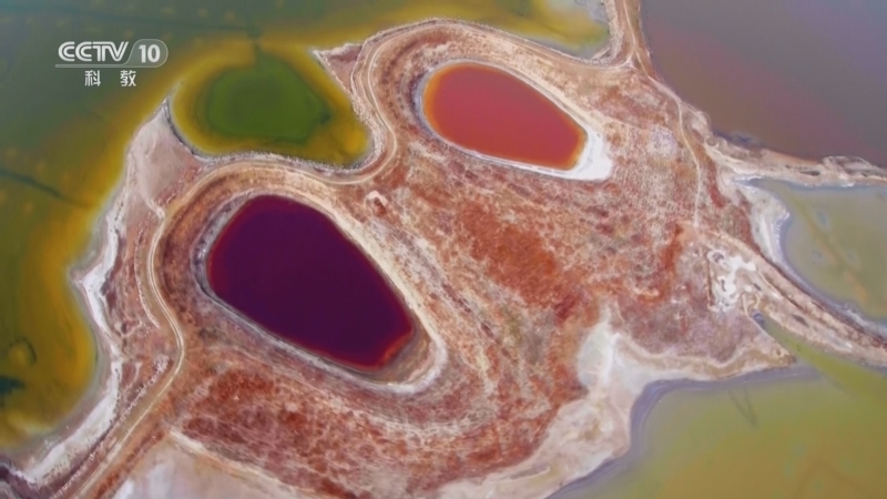 《会变颜色的湖泊》 20230815 首个全国生态日特别节目