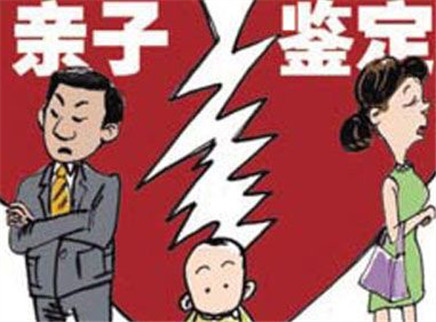寻情记 真相为亲情让路