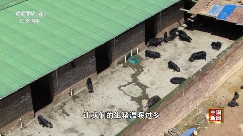 《中国新闻》 20211112 11:28