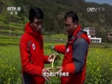 地理中国 《地理中国》 20170707 奇居宝地·金玉良田（下）