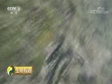 生财有道 《生财有道》 20180621 夏日经济系列：走进福建福鼎台山岛