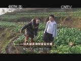 致富经 《致富经》 20150312 一双大脚赢得财富迎来她