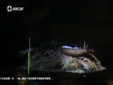 有多远走多远 《有多远走多远》 20170123 奇妙博物馆·泰国