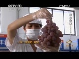 致富经 《致富经》 20150409 赢在未来——农产品电商崛起 第四集 加速吧 物流