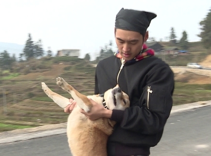 哥哥“追鸡”惨被教训