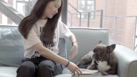 一犬一话 让狗狗边吃边洁牙的牙刷