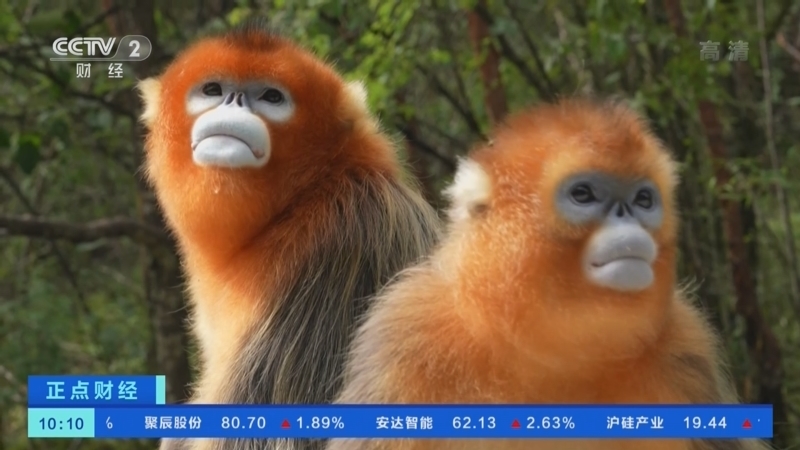 正点财经 《正点财经》 20221026 10:00