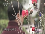 今日说法 《今日说法》 20160811 “大师”的催眠术