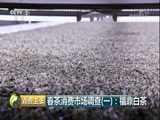 消费主张 《消费主张》 20180418 春茶消费市场调查（一）：福鼎白茶