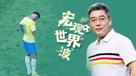 竖看宏观世界波 世界杯变欧洲杯 职业球员争强好胜