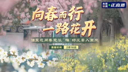 向春而行 一路花开 油菜花间春意浓 “梅”好风景入画来