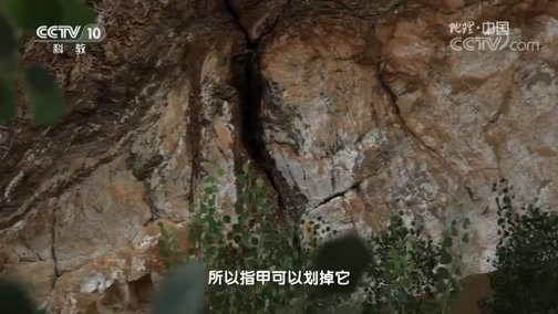 地理中国 《地理中国》 20181103 山水奇观·昆仑探玉（上）