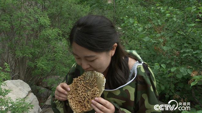 致富经 [致富经]财富长在悬崖上 一斤卖到上千元 20180718