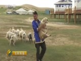 生财有道 《生财有道》 20150730 2015农家乐（第二季）——多彩乌兰农家乐