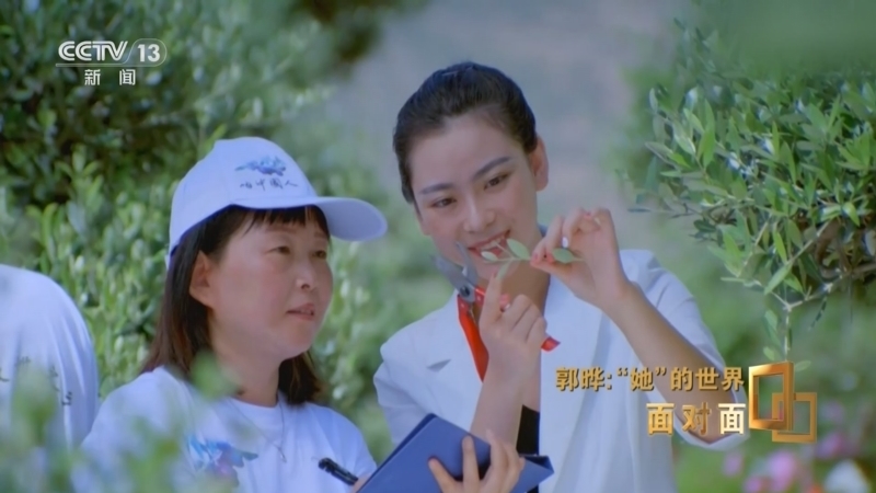 《面对面》 20251012