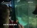 快乐体验 海兽总动员