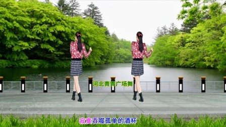 流行DJ广场舞及教学 第三季 广场舞《爱到流泪谁的罪》32步演示分解