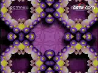 智慧树 智慧树（周末版） 2008年 第167期