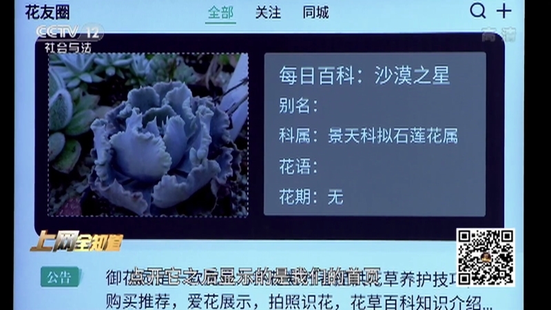 《夕阳红》 20210813 上网全知道——幸福像花儿一样