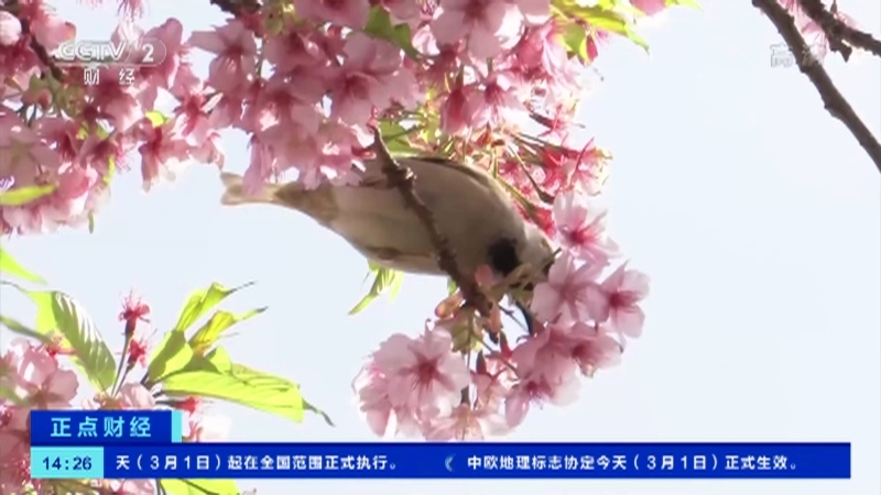 《正点财经》 20210301 14:00