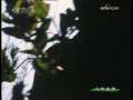 人与自然 人与自然 2009年 第96期