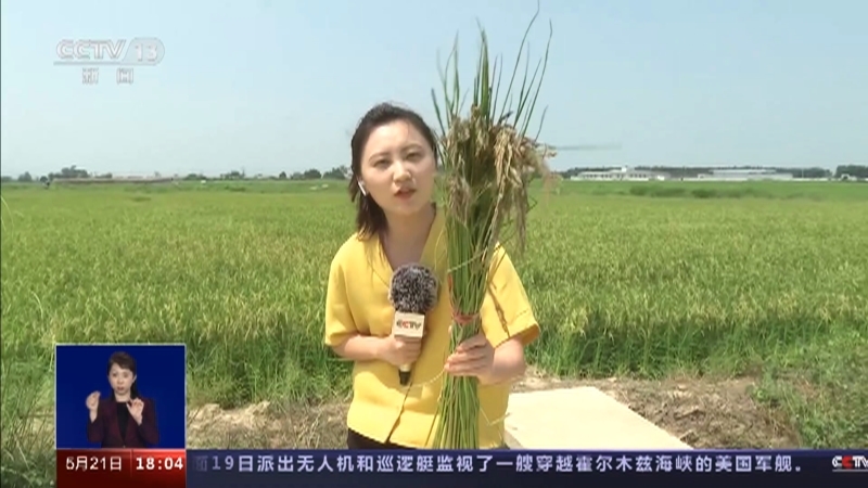 共同关注 《共同关注》 20230521