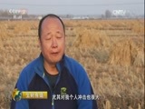 生财有道 《生财有道》 20170405 话说获得感系列——一南一北话获得