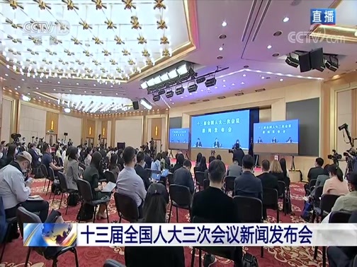 2020十三届全国人大三次会议新闻发布会