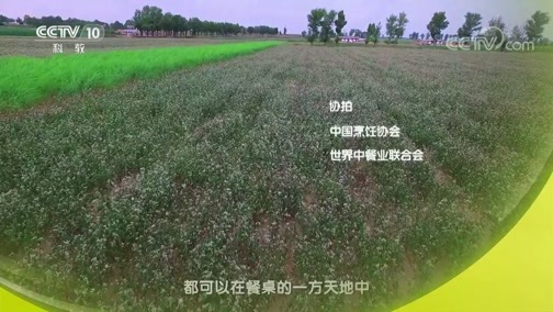 味道 《味道》 20181215 四季味道（162） 什么是田园里幸福的味道？