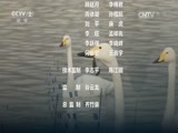 环球经济连线 《环球财经连线》 20161127