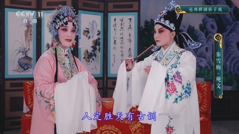 CCTV空中剧院 《CCTV空中剧院》 20241120 亳州梆剧折子戏《秦雪梅·观文》