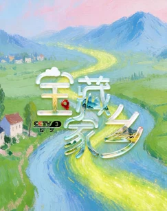 宝藏家乡 海报