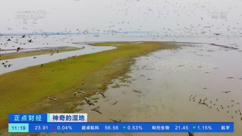 正点财经 《正点财经》 20221209 11:00