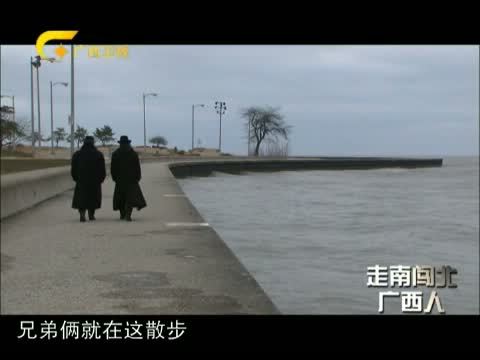 走南闯北广西人 《走南闯北广西人》 20150124 画坛双雄周氏兄弟