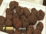 生财有道 《生财有道》 20180202 美味生财四时春