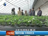 12点报道 《12点报道》 20171030
