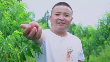 与梦想合拍 金桃子带来好日子